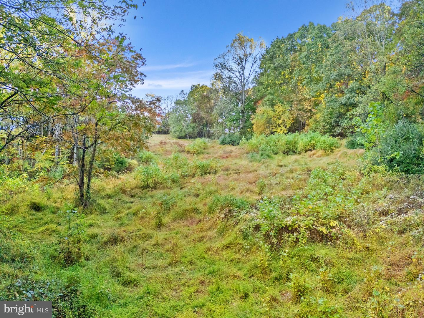 6450 JOHN BARTON PAYNE RD, MARSHALL, Virginia 20115, ,Land,For sale,6450 JOHN BARTON PAYNE RD,VAFQ2019442 MLS # VAFQ2019442