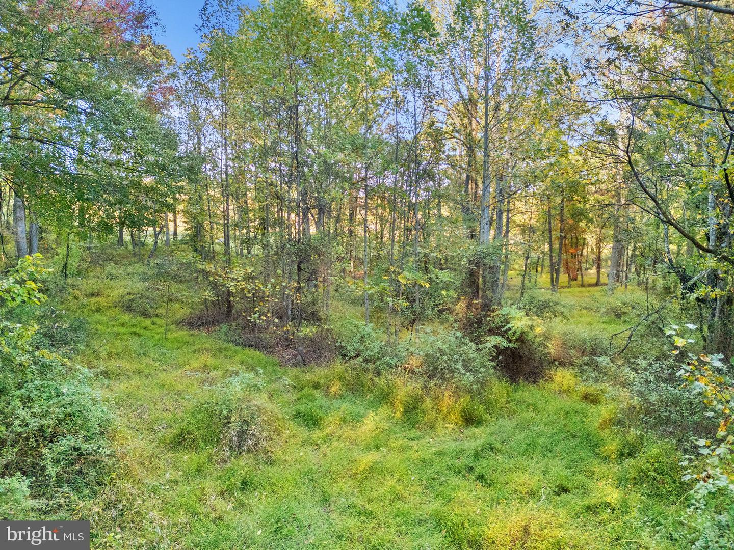 6450 JOHN BARTON PAYNE RD, MARSHALL, Virginia 20115, ,Land,For sale,6450 JOHN BARTON PAYNE RD,VAFQ2019442 MLS # VAFQ2019442
