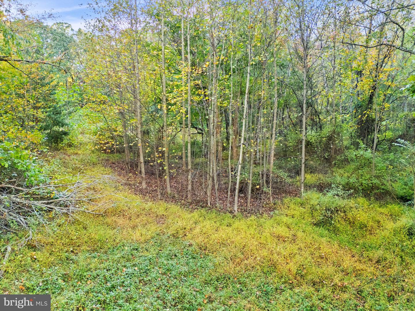 6450 JOHN BARTON PAYNE RD, MARSHALL, Virginia 20115, ,Land,For sale,6450 JOHN BARTON PAYNE RD,VAFQ2019442 MLS # VAFQ2019442