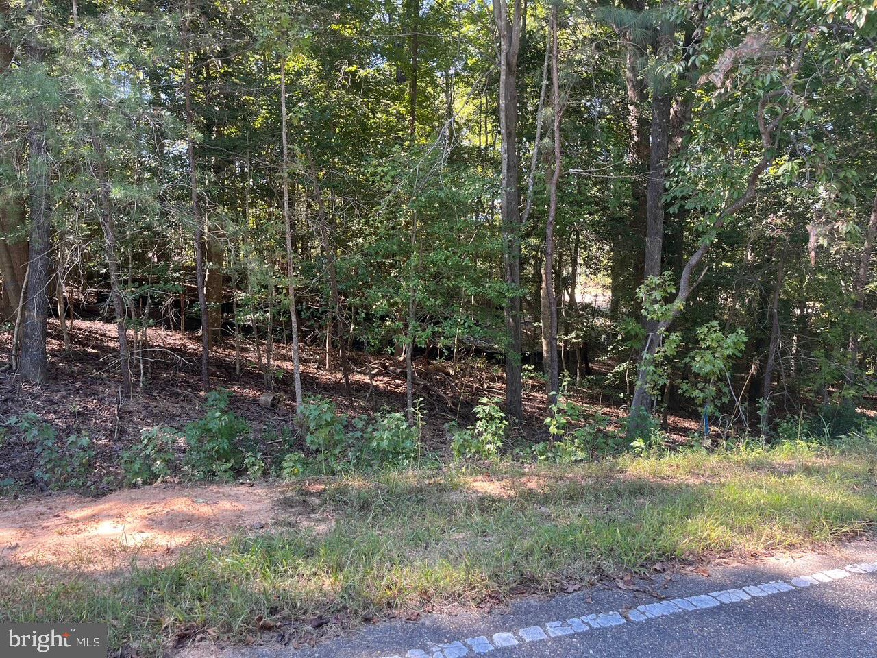 5329 RIDGEWOOD HILLS DR, WILLIAMSBURG, Virginia 23188, ,Land,For sale,5329 RIDGEWOOD HILLS DR,VAJC2000554 MLS # VAJC2000554