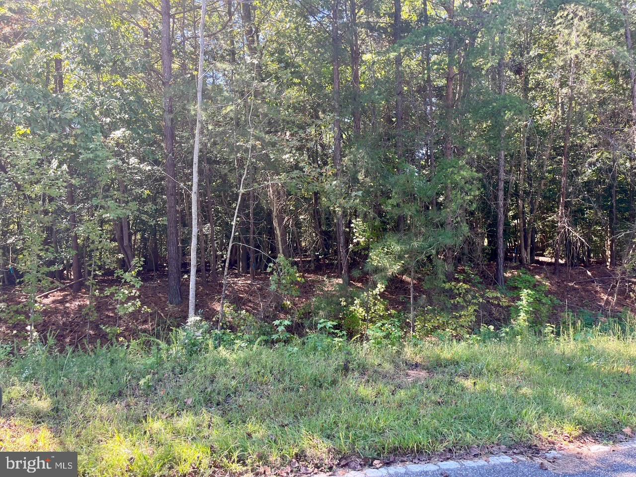 5329 RIDGEWOOD HILLS DR, WILLIAMSBURG, Virginia 23188, ,Land,For sale,5329 RIDGEWOOD HILLS DR,VAJC2000554 MLS # VAJC2000554 5329 RIDGEWOOD HILLS DR, WILLIAMSBURG, Virginia 23188, ,Land,For sale,5329 RIDGEWOOD HILLS DR,VAJC2000554 MLS # VAJC2000554