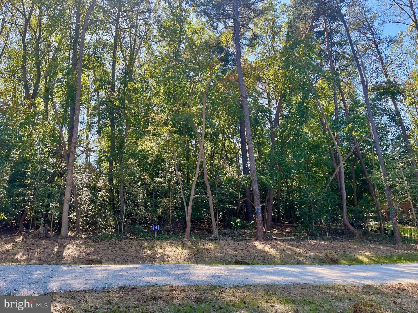 5349 RIDGEWOOD HILLS DR, WILLIAMSBURG, Virginia 23188, ,Land,For sale,5349 RIDGEWOOD HILLS DR,VAJC2000560 MLS # VAJC2000560