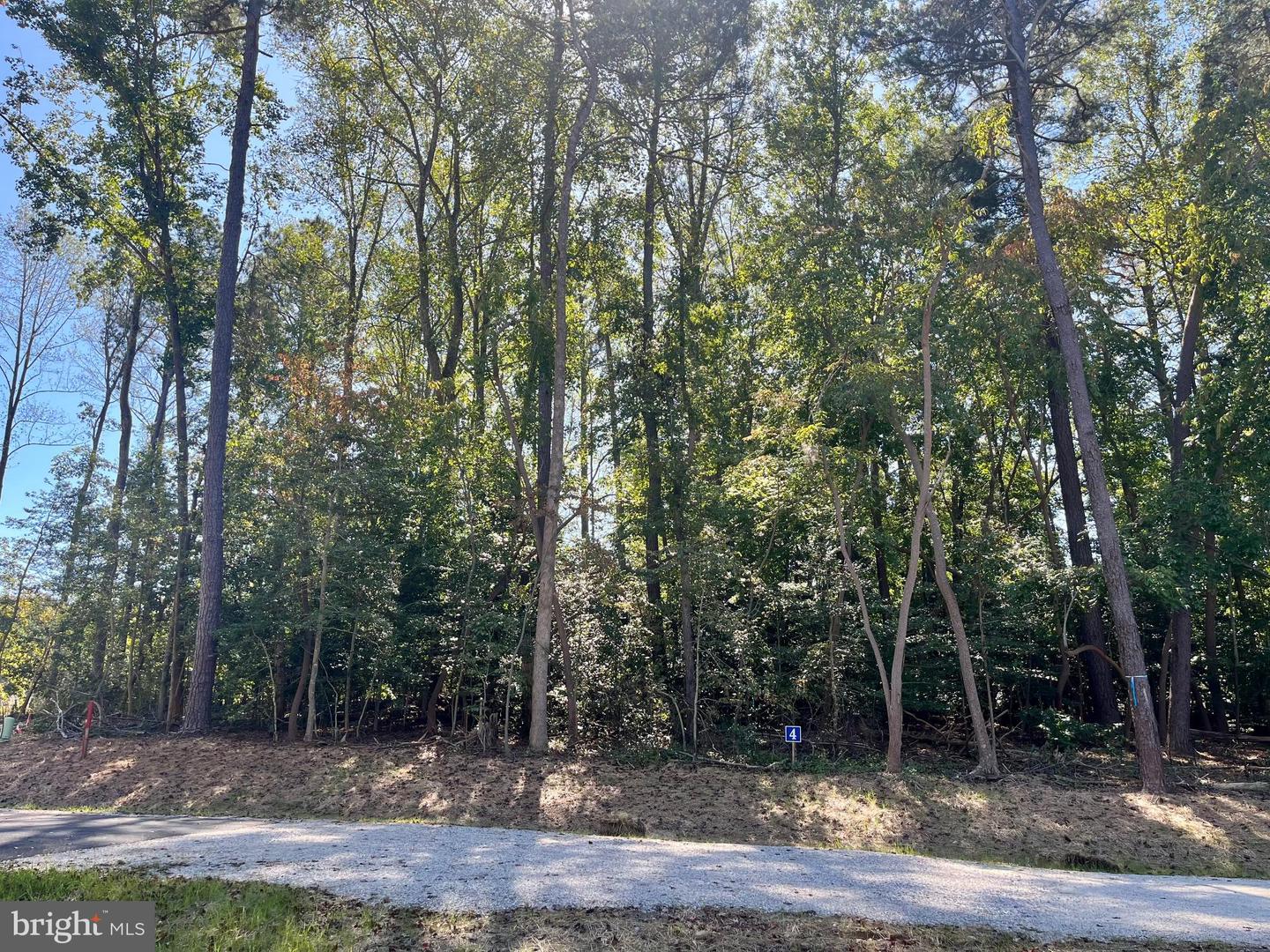 5349 RIDGEWOOD HILLS DR, WILLIAMSBURG, Virginia 23188, ,Land,For sale,5349 RIDGEWOOD HILLS DR,VAJC2000560 MLS # VAJC2000560