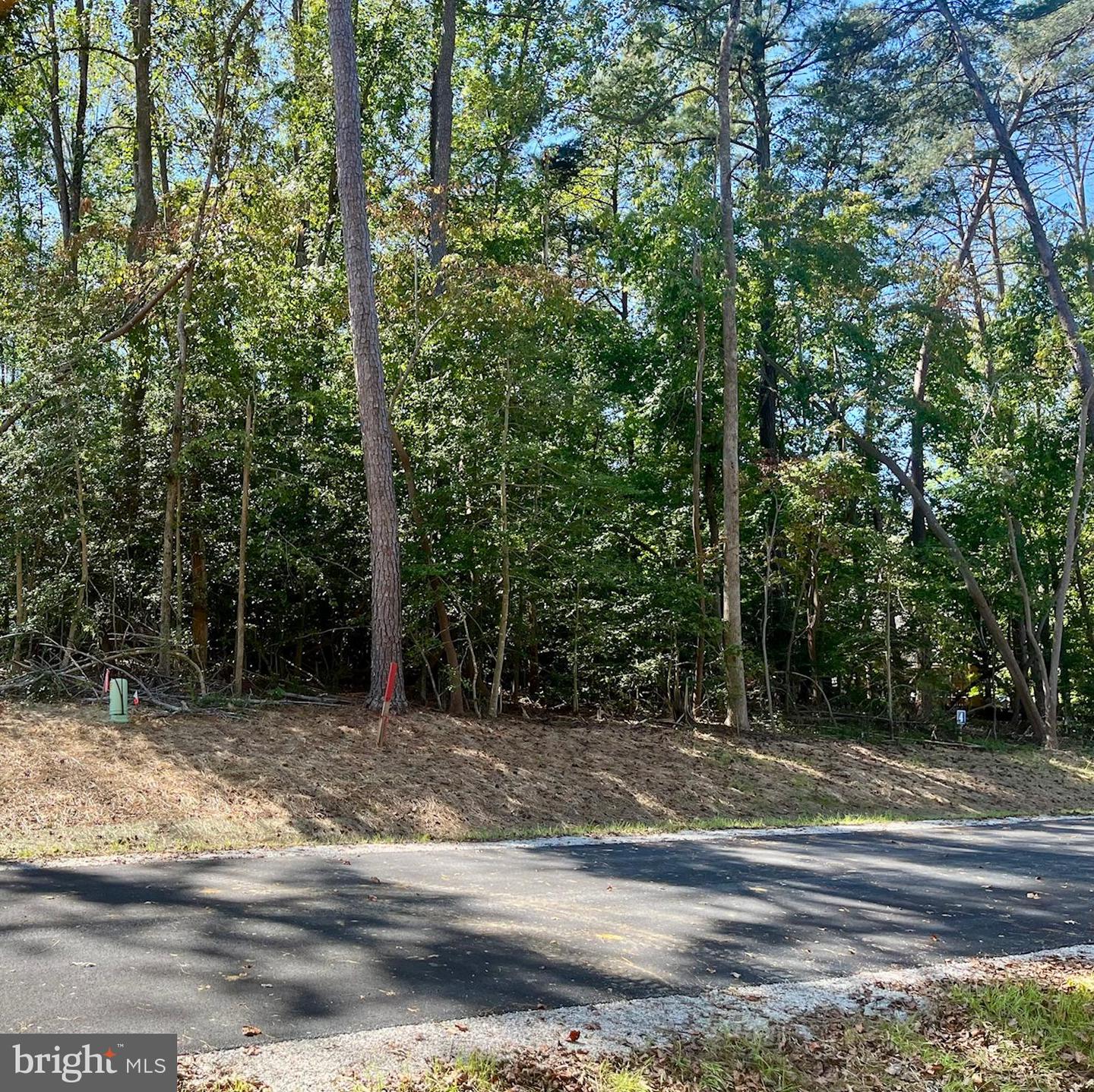 5349 RIDGEWOOD HILLS DR, WILLIAMSBURG, Virginia 23188, ,Land,For sale,5349 RIDGEWOOD HILLS DR,VAJC2000560 MLS # VAJC2000560