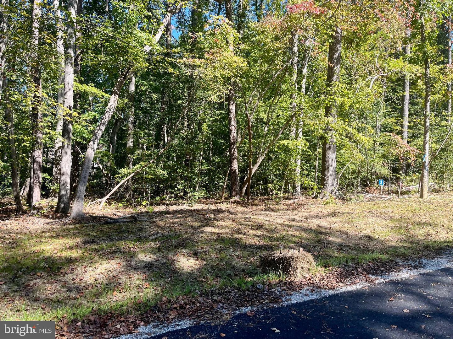 5353 RIDGEWOOD HILLS DR, WILLIAMSBURG, Virginia 23188, ,Land,For sale,5353 RIDGEWOOD HILLS DR,VAJC2000562 MLS # VAJC2000562
