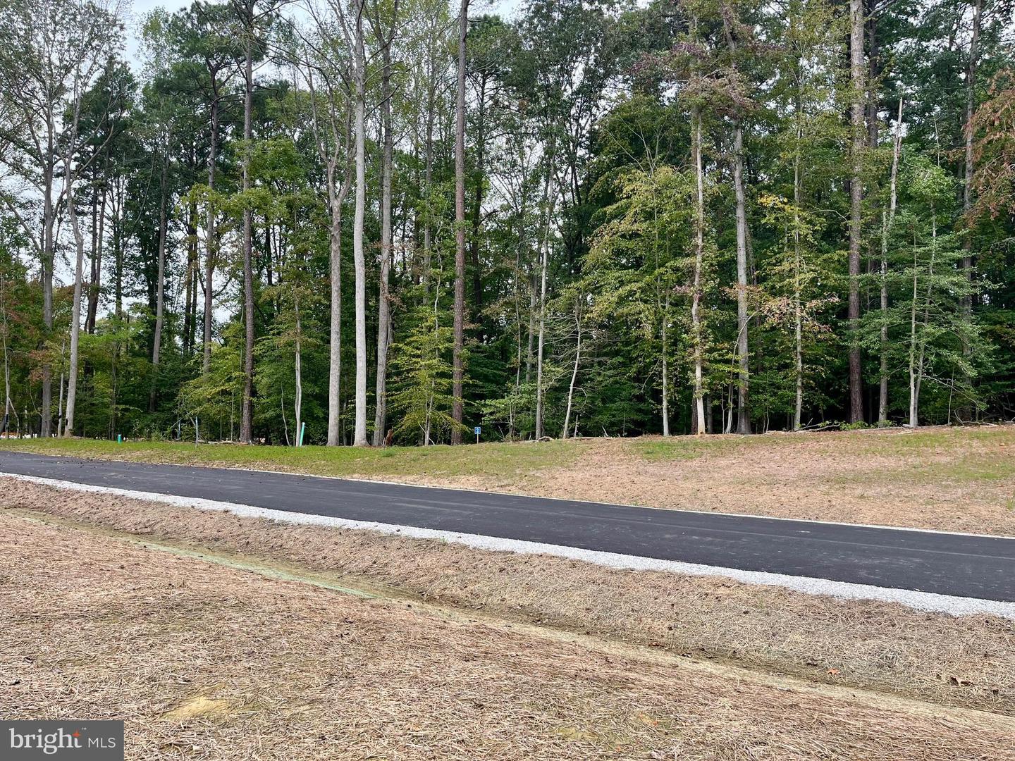 5357 RIDGEWOOD HILLS DR, WILLIAMSBURG, Virginia 23188, ,Land,For sale,5357 RIDGEWOOD HILLS DR,VAJC2000566 MLS # VAJC2000566