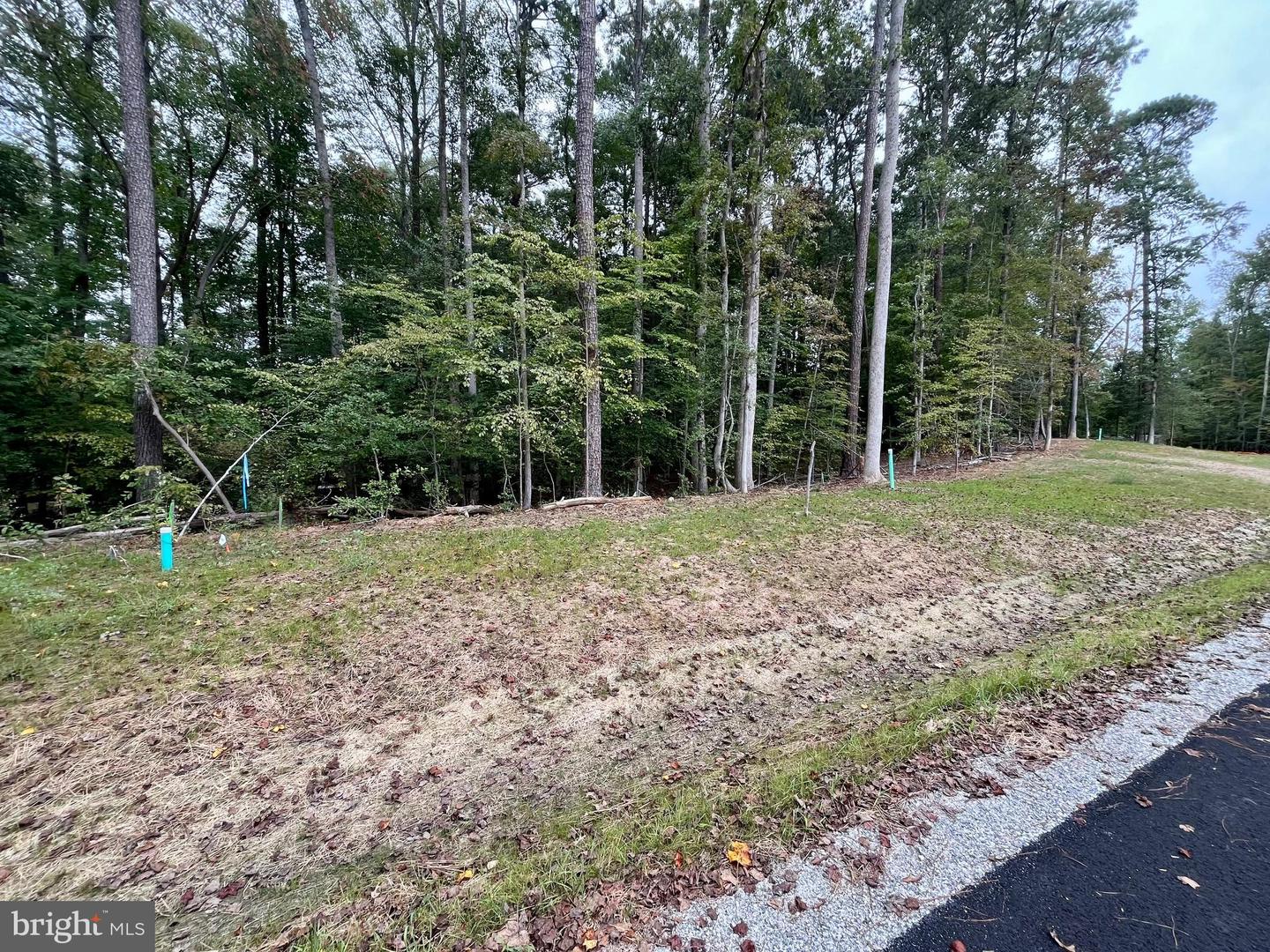 5357 RIDGEWOOD HILLS DR, WILLIAMSBURG, Virginia 23188, ,Land,For sale,5357 RIDGEWOOD HILLS DR,VAJC2000566 MLS # VAJC2000566