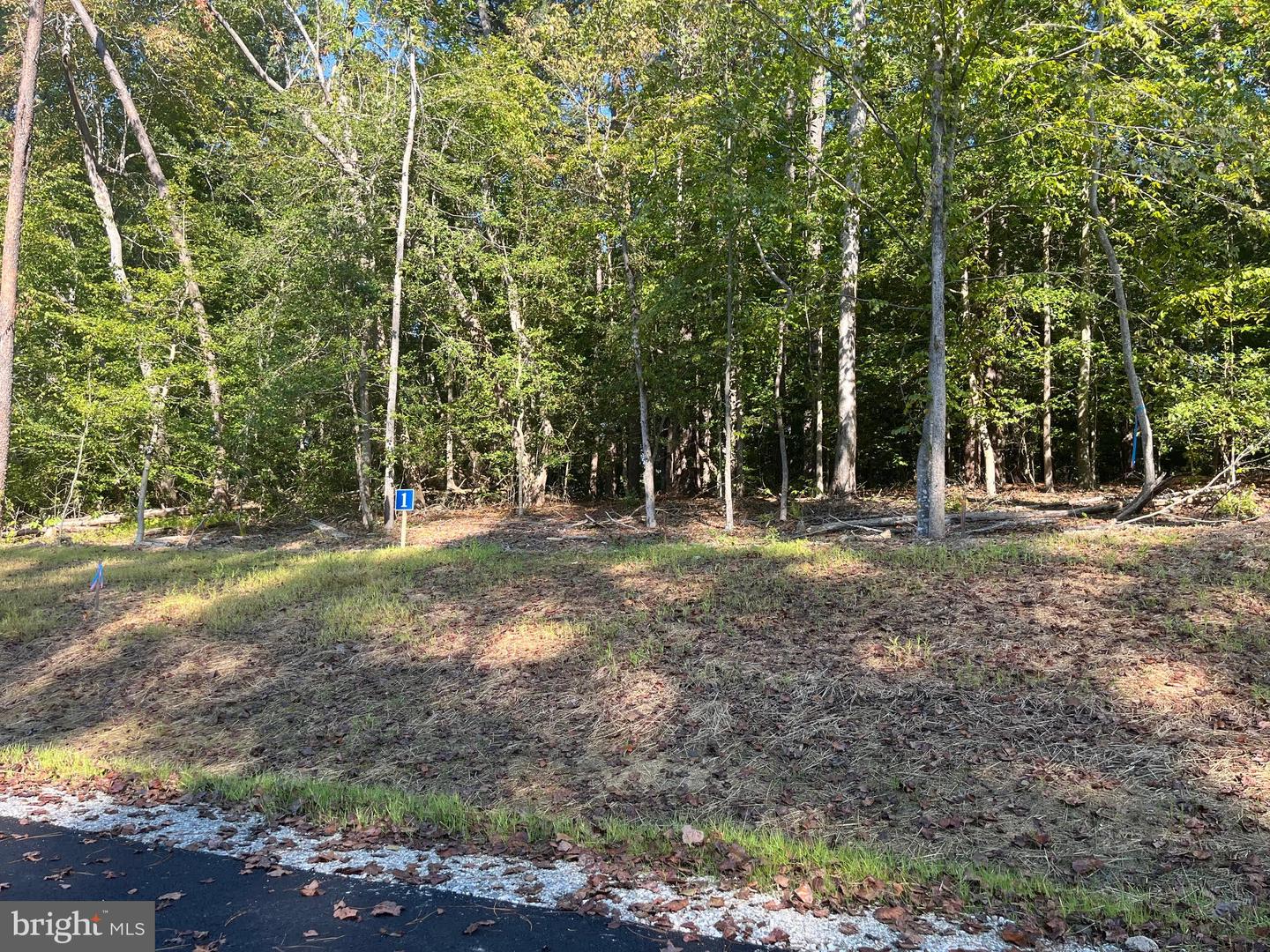 5361 RIDGEWOOD HILLS DR, WILLIAMSBURG, Virginia 23188, ,Land,For sale,5361 RIDGEWOOD HILLS DR,VAJC2000568 MLS # VAJC2000568