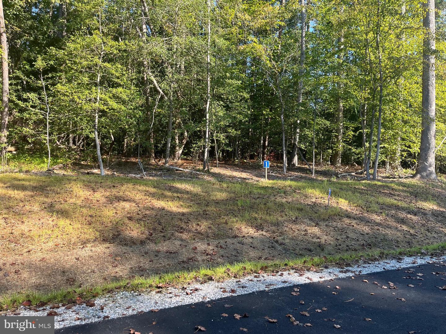 5361 RIDGEWOOD HILLS DR, WILLIAMSBURG, Virginia 23188, ,Land,For sale,5361 RIDGEWOOD HILLS DR,VAJC2000568 MLS # VAJC2000568