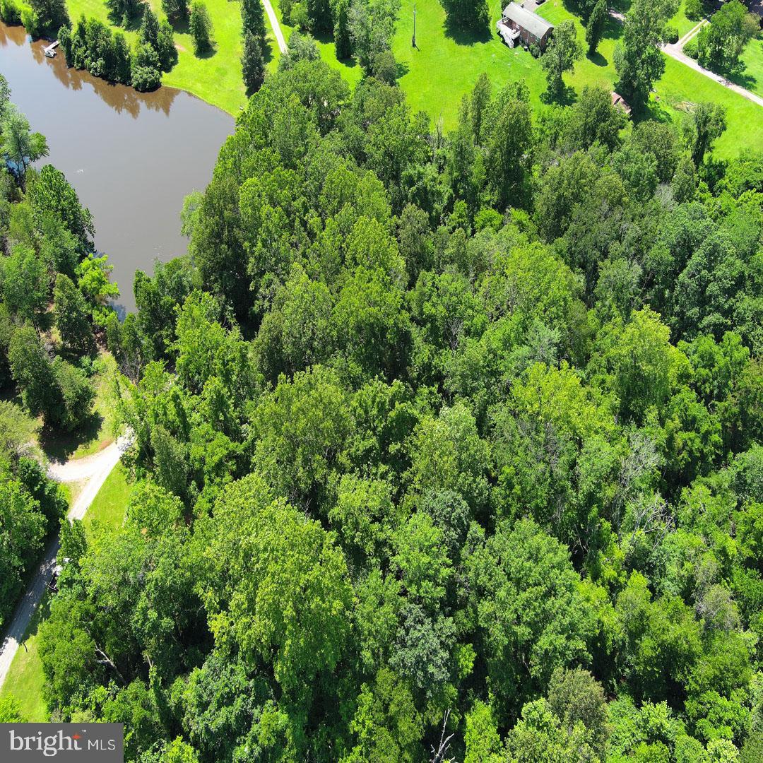 34 MCALEXANDER RD, ORANGE, Virginia 22960, ,Land,For sale,34 MCALEXANDER RD,VAOR2012604 MLS # VAOR2012604