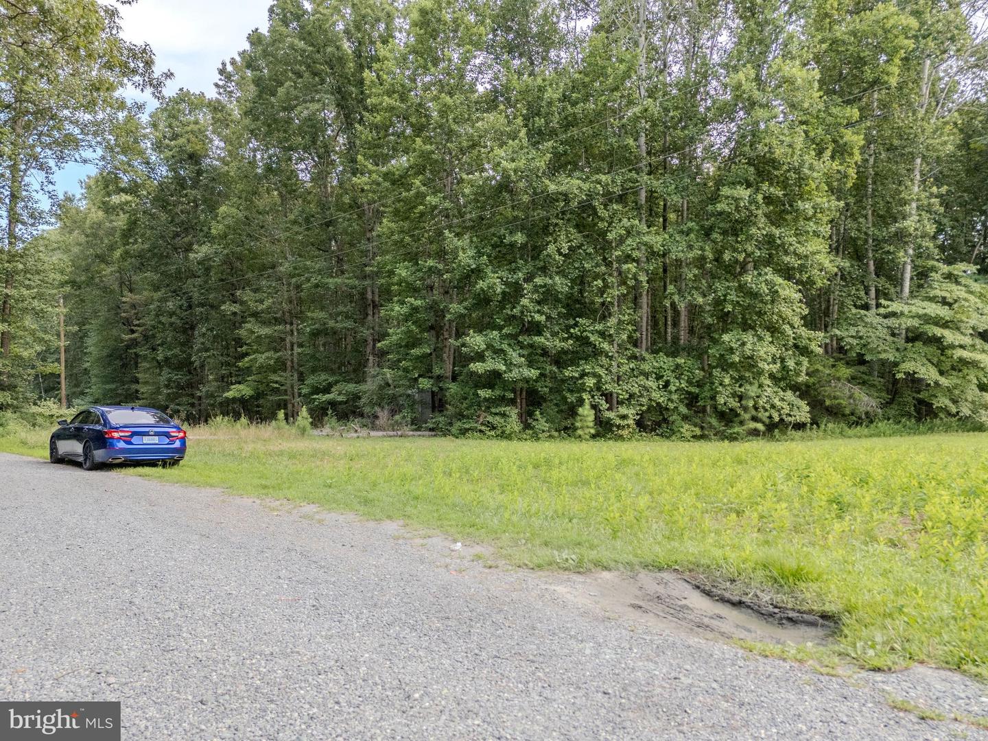 15 HANBACK RD, GORDONSVILLE, Virginia 22942, ,Land,For sale,15 HANBACK RD,VALA2008752 MLS # VALA2008752