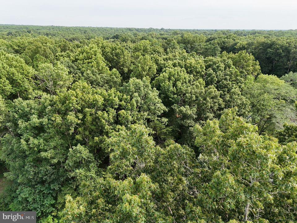 15 HANBACK RD, GORDONSVILLE, Virginia 22942, ,Land,For sale,15 HANBACK RD,VALA2008752 MLS # VALA2008752