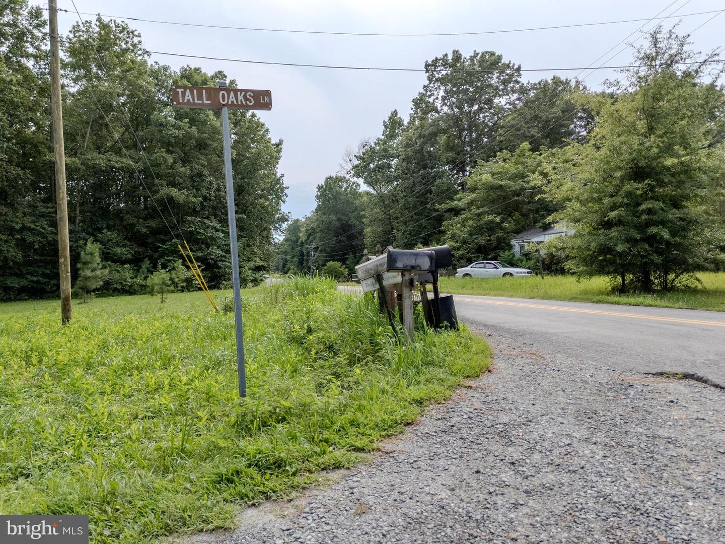 15 HANBACK RD, GORDONSVILLE, Virginia 22942, ,Land,For sale,15 HANBACK RD,VALA2008752 MLS # VALA2008752