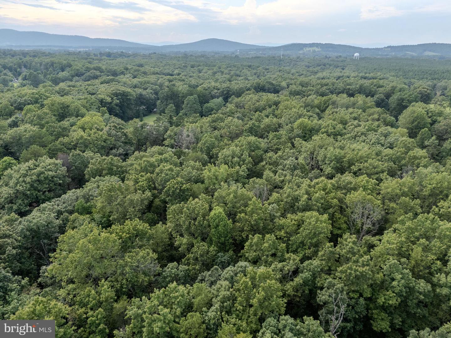 15 HANBACK RD, GORDONSVILLE, Virginia 22942, ,Land,For sale,15 HANBACK RD,VALA2008752 MLS # VALA2008752