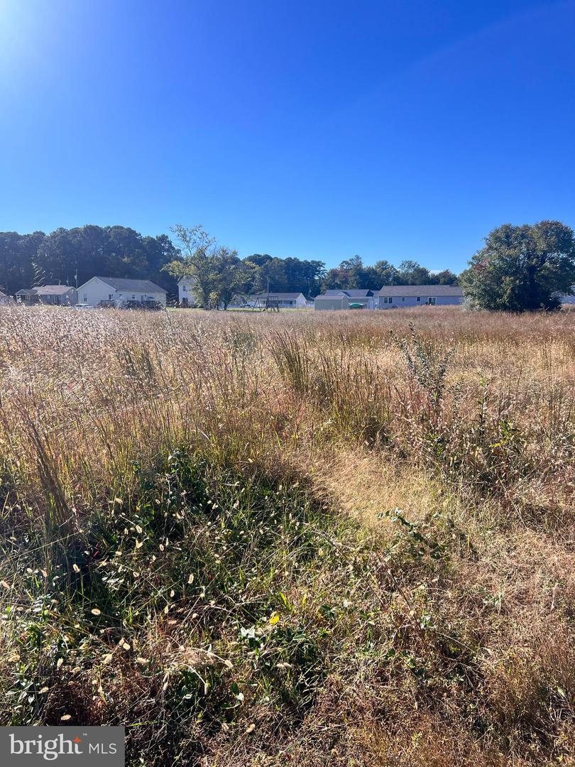 0 CABIN POINT DR, MONTROSS, Virginia 22520, ,Land,For sale,0 CABIN POINT DR,VAWE2009978 MLS # VAWE2009978