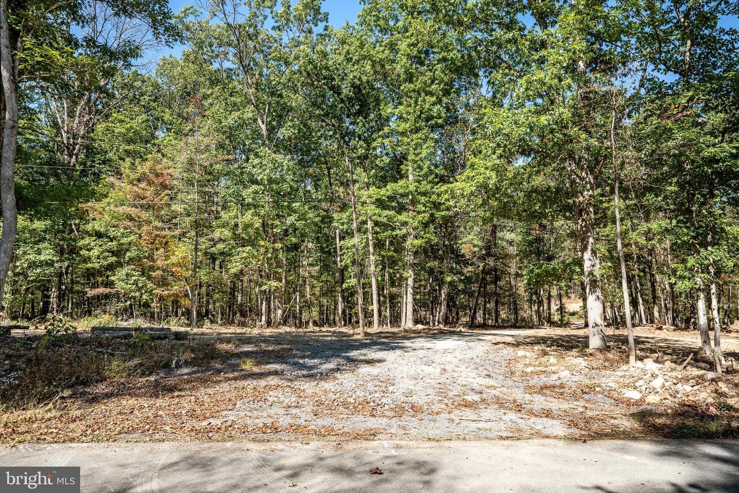 LOT 1 BACK CREEK RD, GORE, Virginia 22637, ,Land,For sale,LOT 1 BACK CREEK RD,VAFV2037538 MLS # VAFV2037538