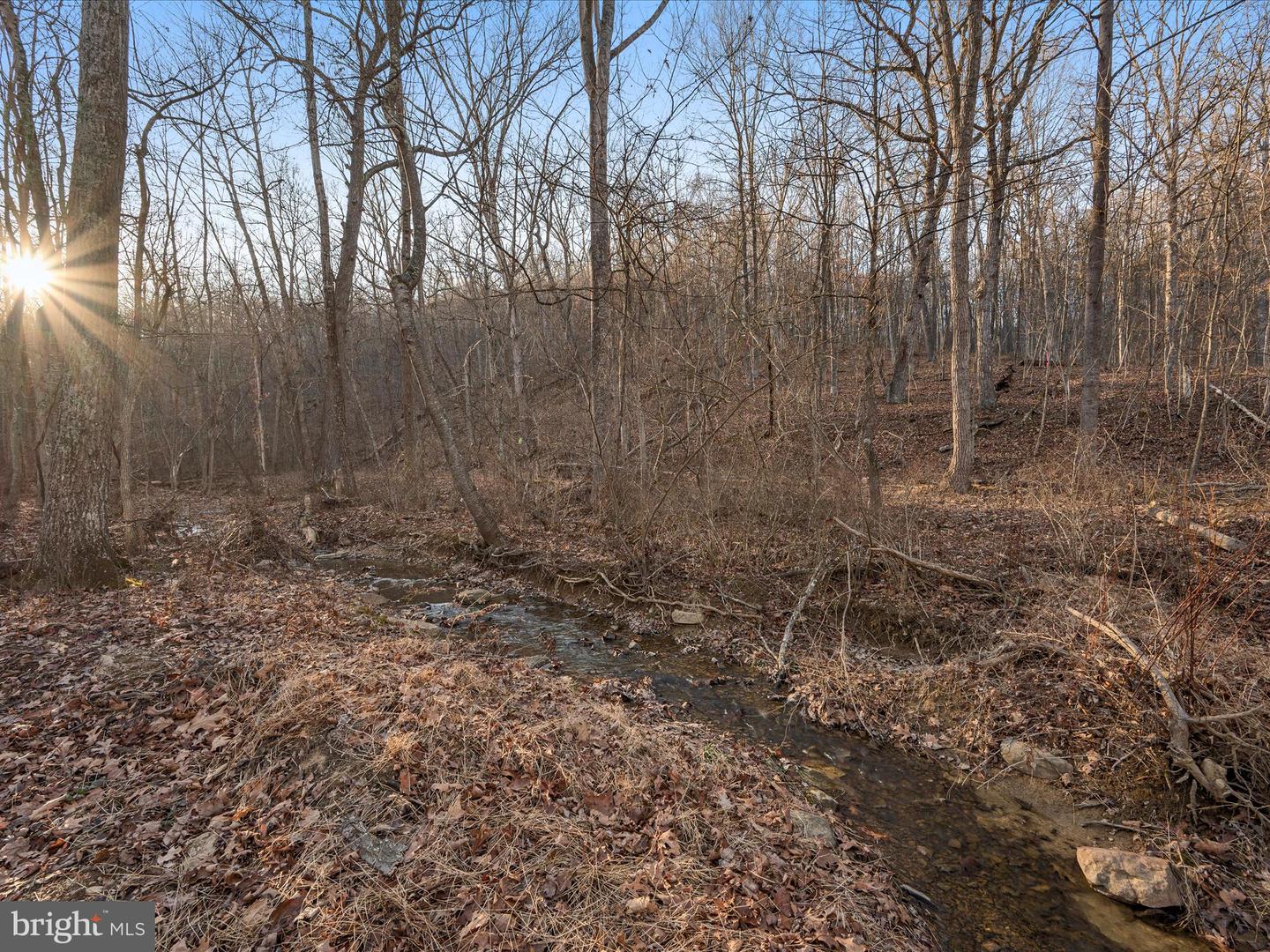 LOT 1 BACK CREEK RD, GORE, Virginia 22637, ,Land,For sale,LOT 1 BACK CREEK RD,VAFV2037538 MLS # VAFV2037538