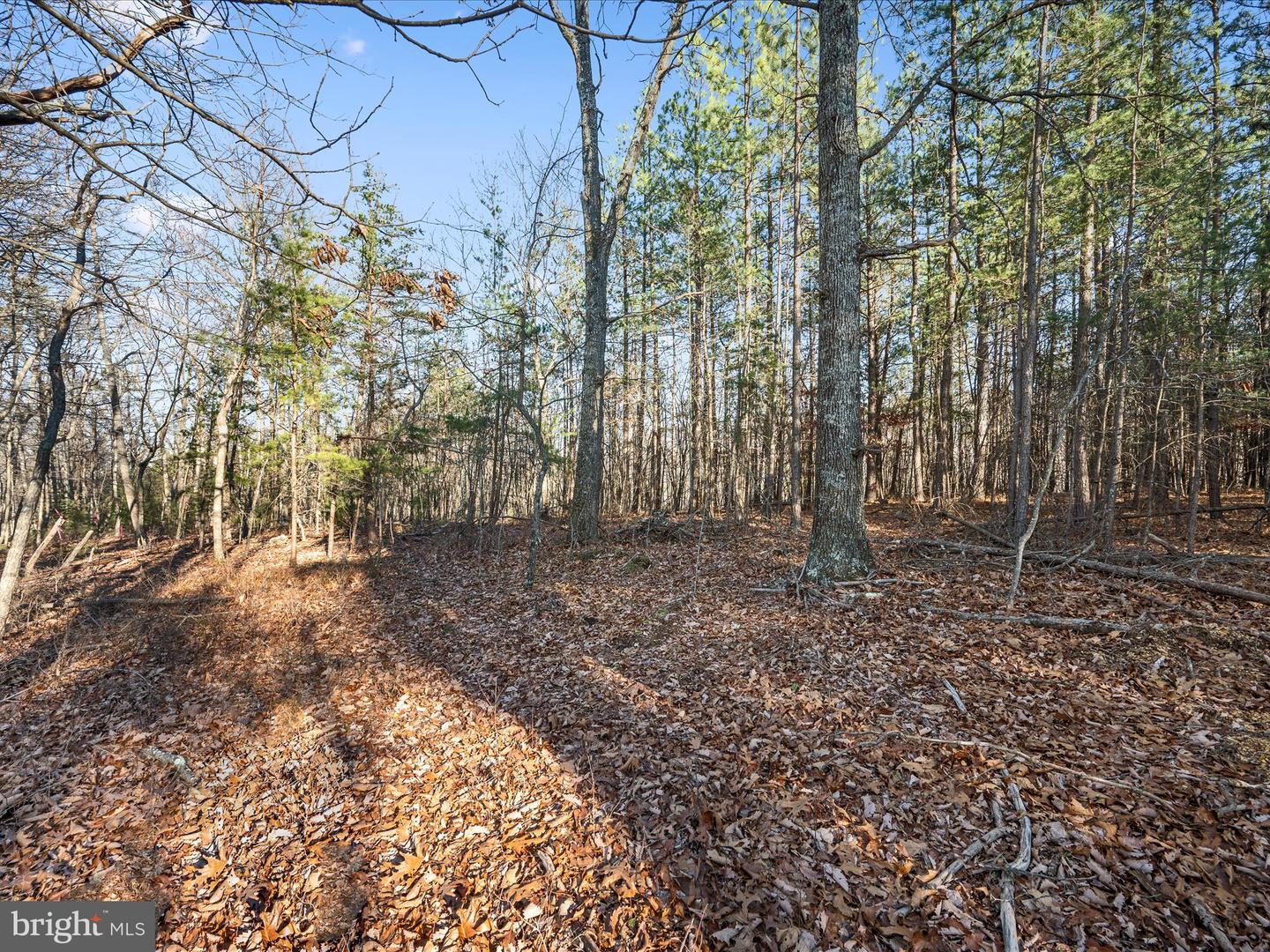 LOT 1 BACK CREEK RD, GORE, Virginia 22637, ,Land,For sale,LOT 1 BACK CREEK RD,VAFV2037538 MLS # VAFV2037538