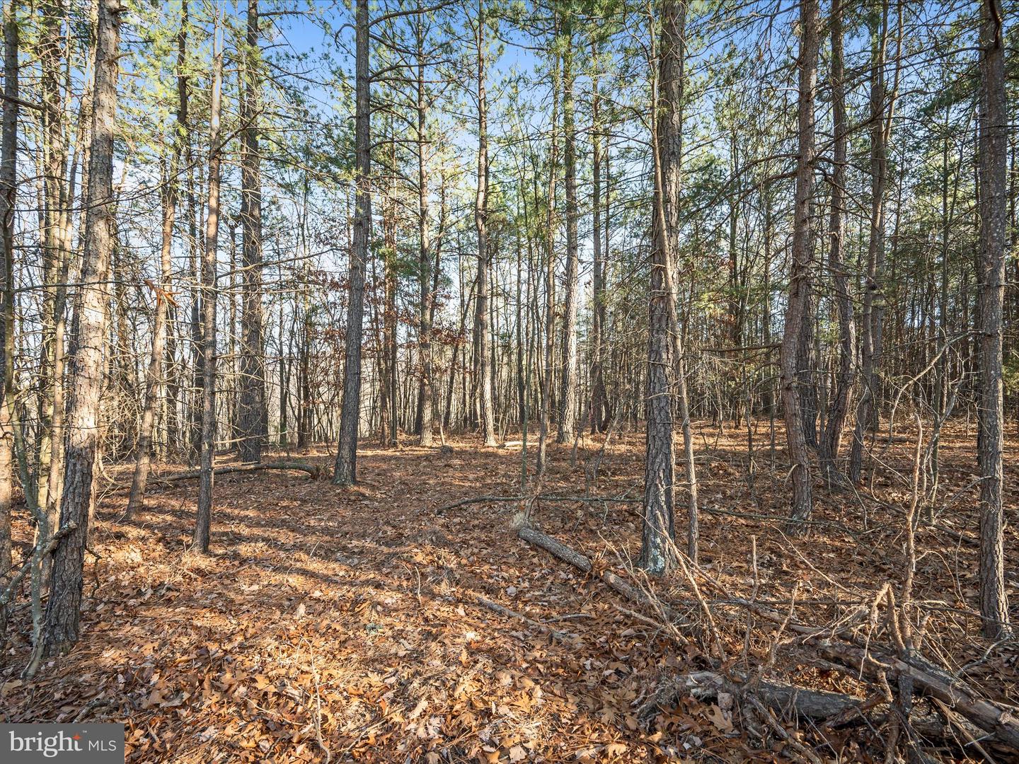 LOT 1 BACK CREEK RD, GORE, Virginia 22637, ,Land,For sale,LOT 1 BACK CREEK RD,VAFV2037538 MLS # VAFV2037538