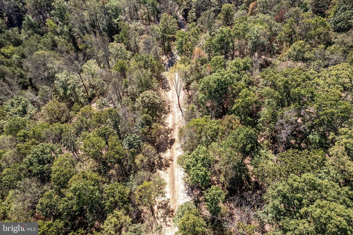 LOT 1 BACK CREEK RD, GORE, Virginia 22637, ,Land,For sale,LOT 1 BACK CREEK RD,VAFV2037538 MLS # VAFV2037538