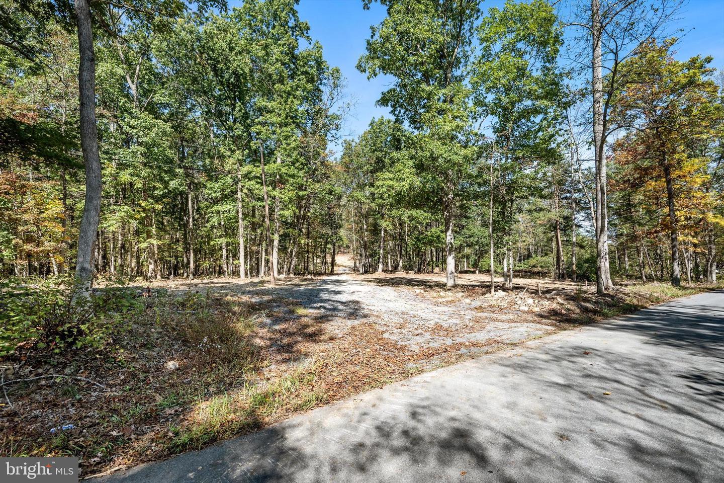 LOT 1 BACK CREEK RD, GORE, Virginia 22637, ,Land,For sale,LOT 1 BACK CREEK RD,VAFV2037538 MLS # VAFV2037538