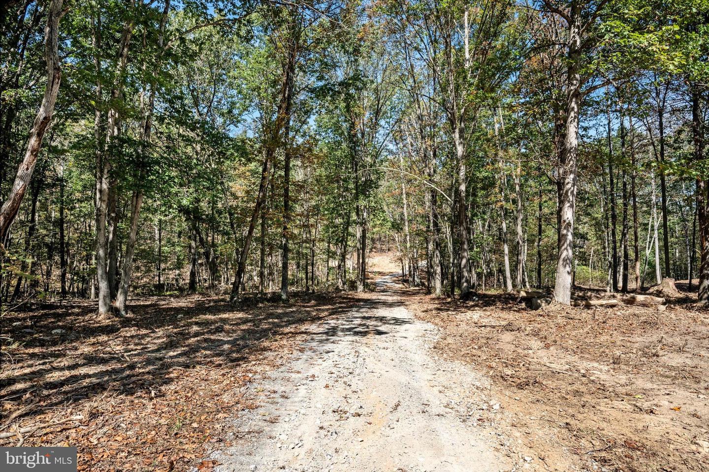 LOT 1 BACK CREEK RD, GORE, Virginia 22637, ,Land,For sale,LOT 1 BACK CREEK RD,VAFV2037538 MLS # VAFV2037538