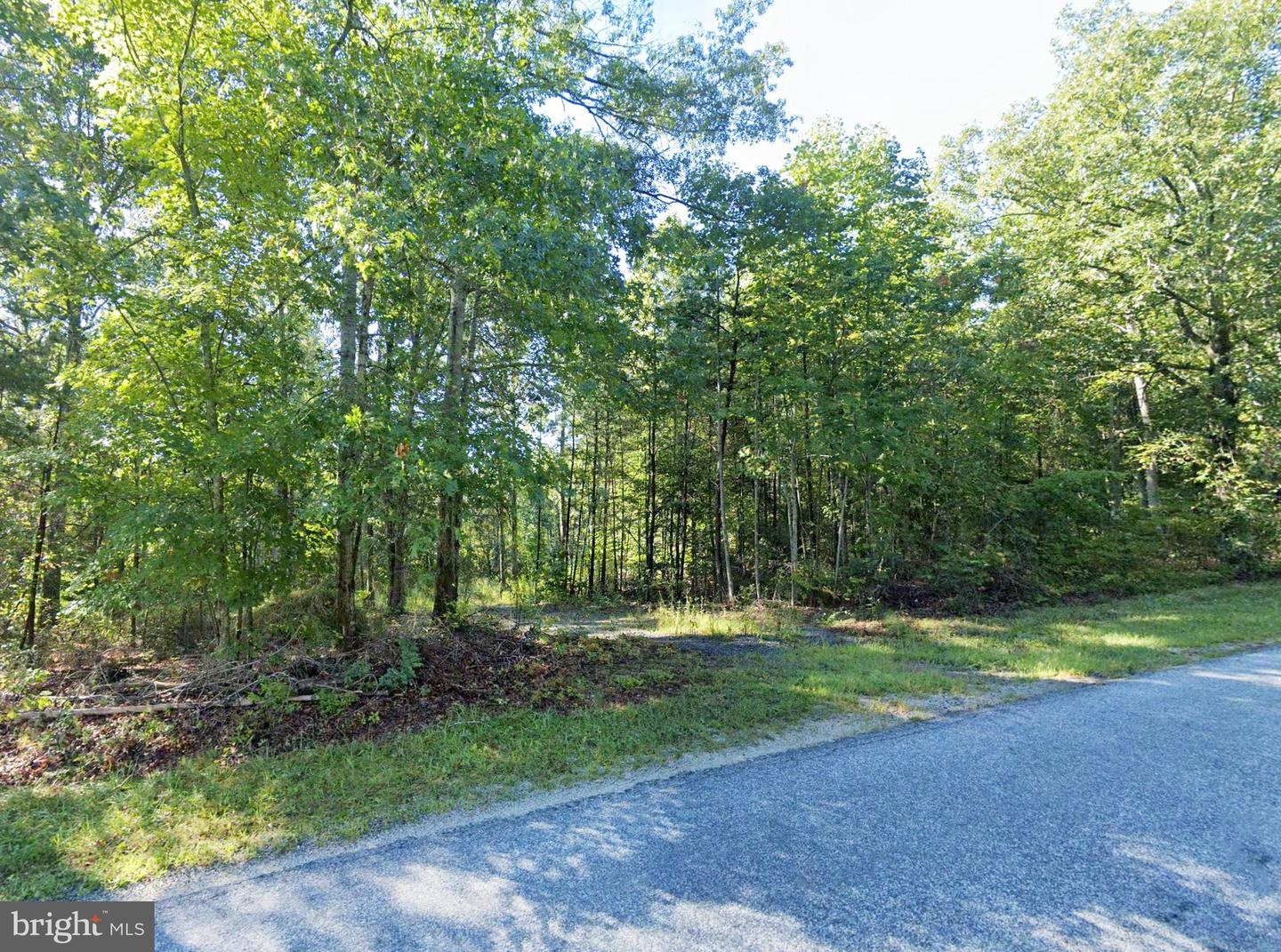 6067 LAUREL RD, SHIPMAN, Virginia 22971, ,Land,For sale,6067 LAUREL RD,VANL2000602 MLS # VANL2000602