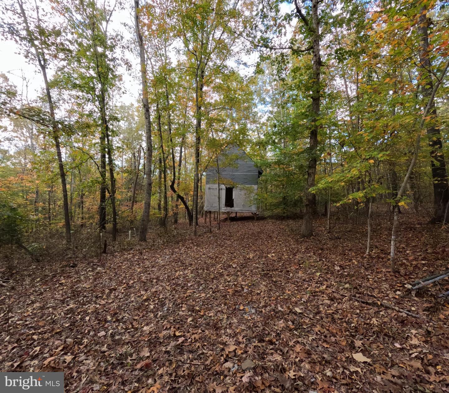 6067 LAUREL RD, SHIPMAN, Virginia 22971, ,Land,For sale,6067 LAUREL RD,VANL2000602 MLS # VANL2000602 6067 LAUREL RD, SHIPMAN, Virginia 22971, ,Land,For sale,6067 LAUREL RD,VANL2000602 MLS # VANL2000602