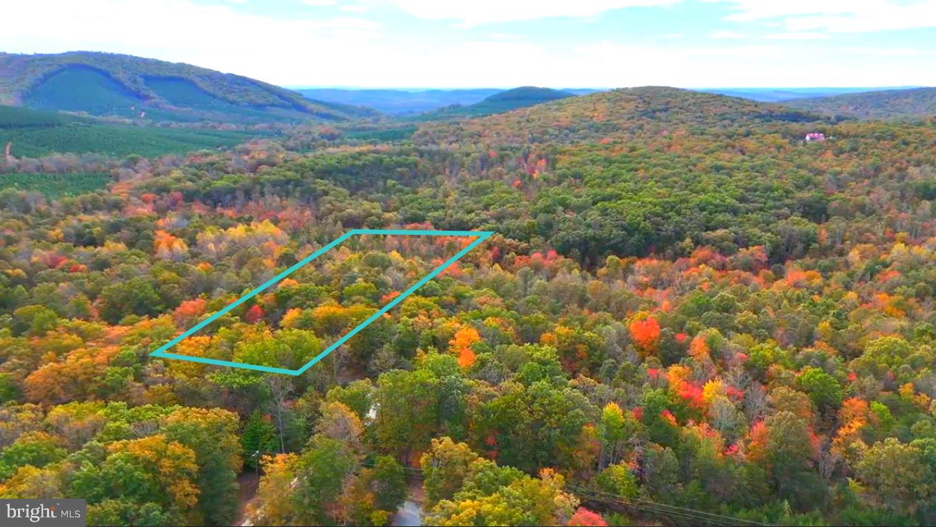 6067 LAUREL RD, SHIPMAN, Virginia 22971, ,Land,For sale,6067 LAUREL RD,VANL2000602 MLS # VANL2000602 6067 LAUREL RD, SHIPMAN, Virginia 22971, ,Land,For sale,6067 LAUREL RD,VANL2000602 MLS # VANL2000602