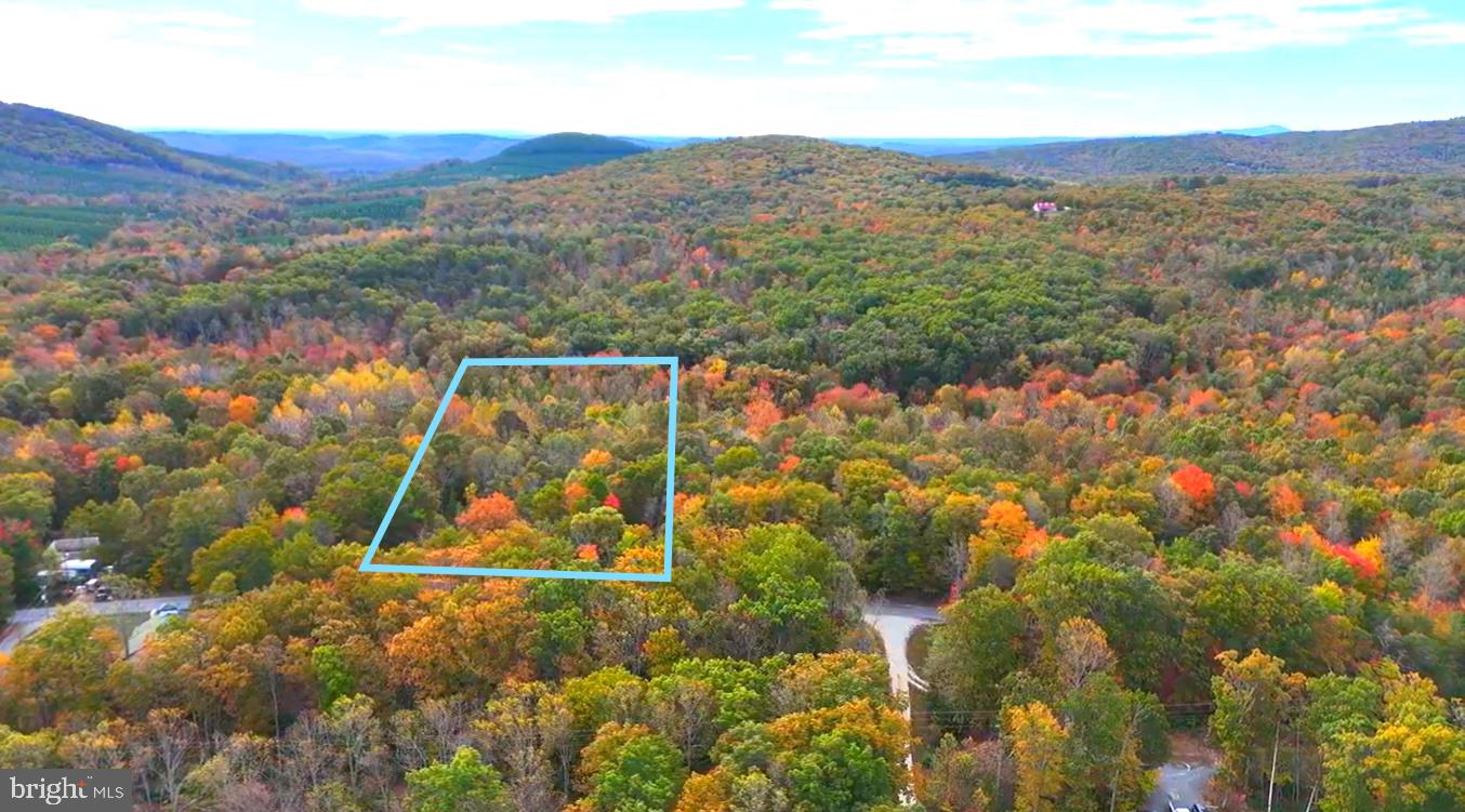 6067 LAUREL RD, SHIPMAN, Virginia 22971, ,Land,For sale,6067 LAUREL RD,VANL2000602 MLS # VANL2000602 6067 LAUREL RD, SHIPMAN, Virginia 22971, ,Land,For sale,6067 LAUREL RD,VANL2000602 MLS # VANL2000602