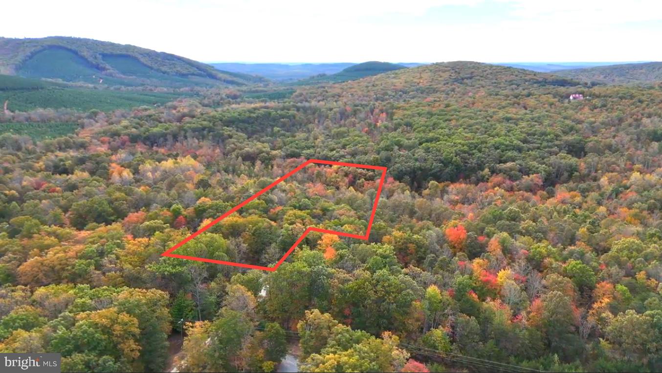 LOT 1 LAUREL RD, SHIPMAN, Virginia 22971, ,Land,For sale,LOT 1 LAUREL RD,VANL2000604 MLS # VANL2000604