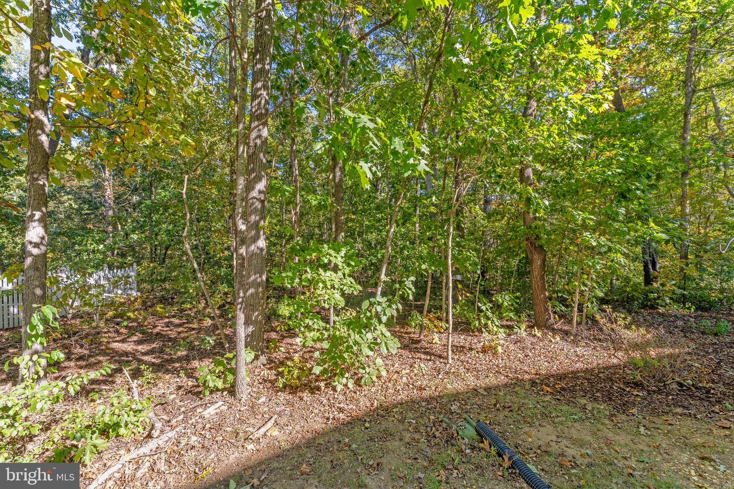 9419 HICKORY HILL DR, FREDERICKSBURG, Virginia 22408, 4 Bedrooms Bedrooms, 12 Rooms Rooms,3 BathroomsBathrooms,Residential,For sale,9419 HICKORY HILL DR,VASP2036924 MLS # VASP2036924