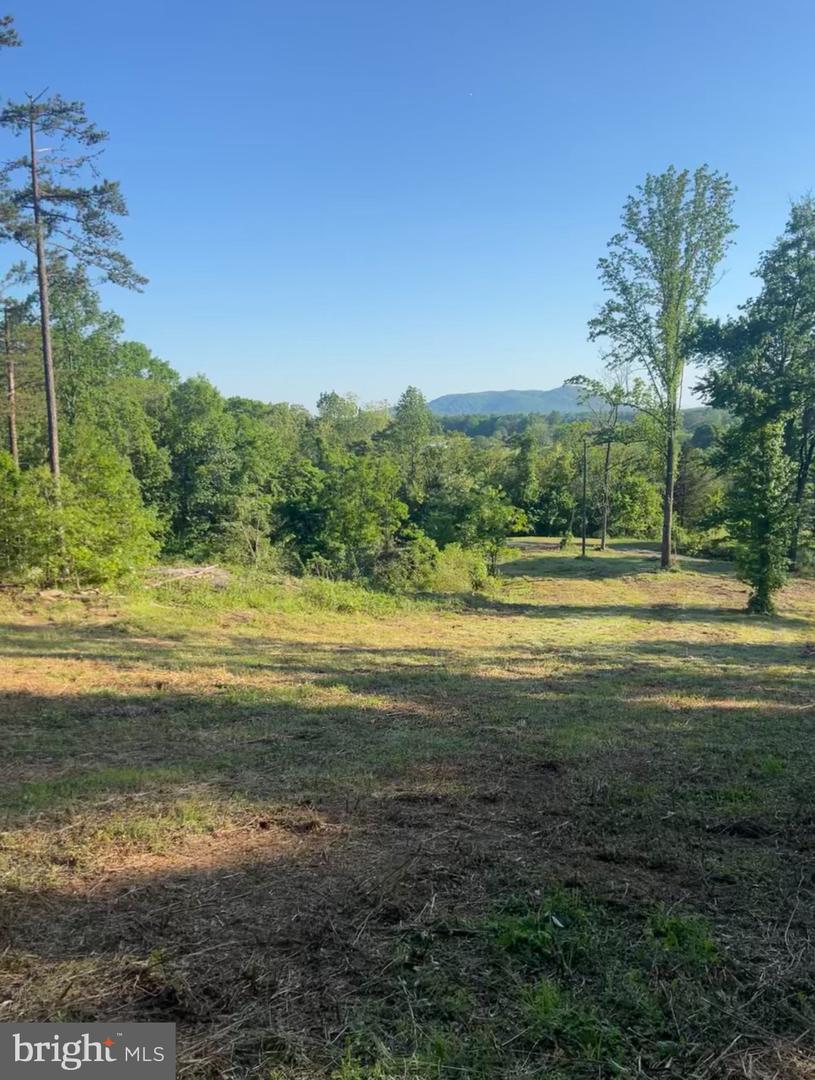 REVA, CULPEPER, Virginia 22701, 5 Bedrooms Bedrooms, ,4 BathroomsBathrooms,Residential,For sale,REVA,VACU2011832 MLS # VACU2011832