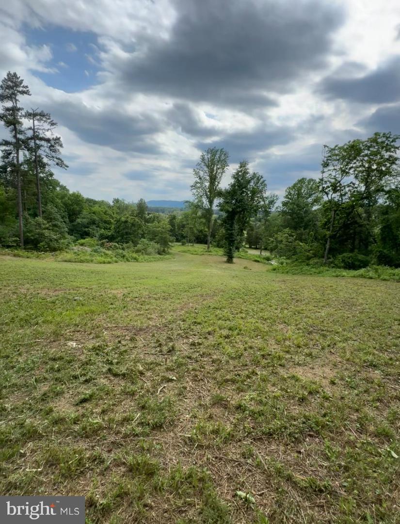 REVA, CULPEPER, Virginia 22701, 5 Bedrooms Bedrooms, ,4 BathroomsBathrooms,Residential,For sale,REVA,VACU2011832 MLS # VACU2011832