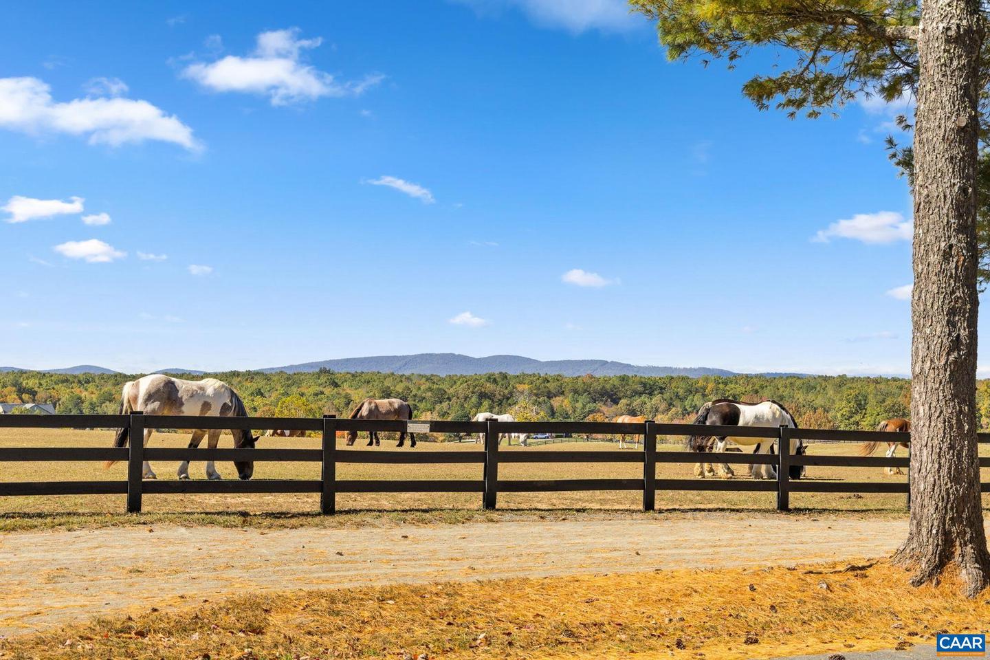 1764 SHENANDOAH CROSSING DR, GORDONSVILLE, Virginia 22942, 3 Bedrooms Bedrooms, ,2 BathroomsBathrooms,Residential,For sale,1764 SHENANDOAH CROSSING DR,670172 MLS # 670172