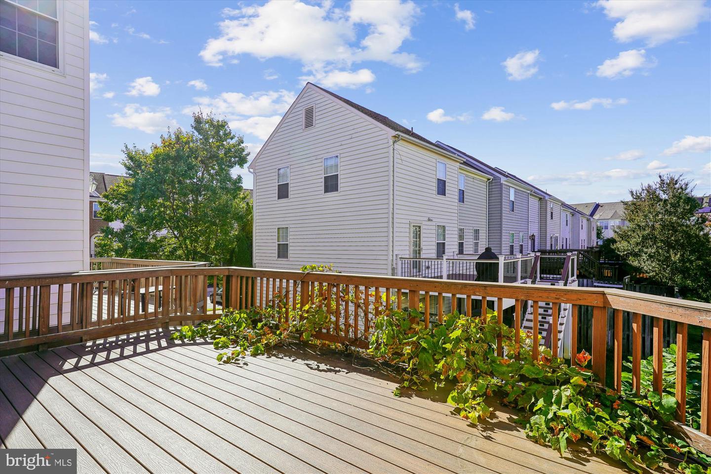 6149 CILANTRO DR, ALEXANDRIA, Virginia 22310, 3 Bedrooms Bedrooms, ,2 BathroomsBathrooms,Residential,For sale,6149 CILANTRO DR,VAFX2275200 MLS # VAFX2275200