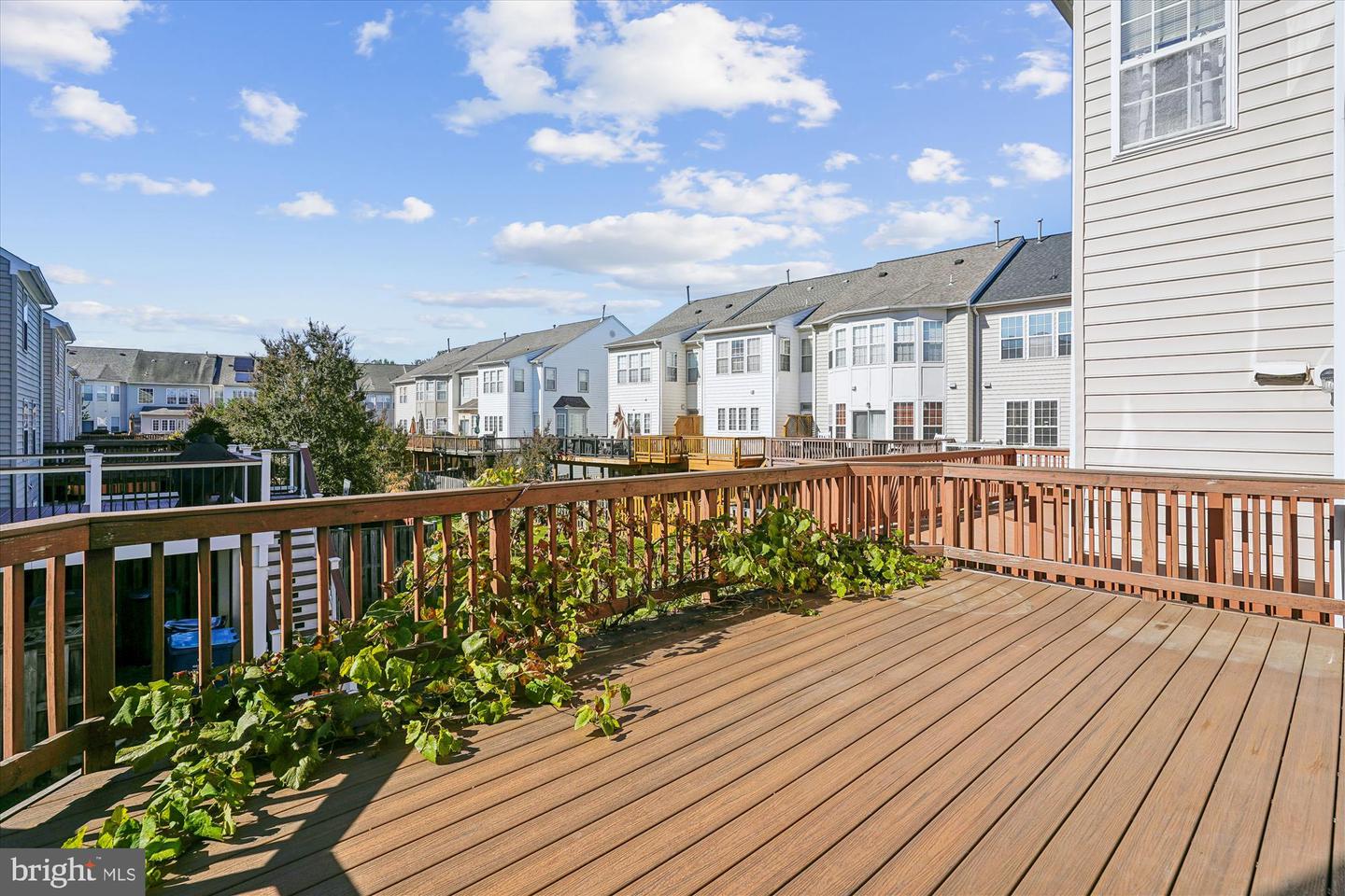 6149 CILANTRO DR, ALEXANDRIA, Virginia 22310, 3 Bedrooms Bedrooms, ,2 BathroomsBathrooms,Residential,For sale,6149 CILANTRO DR,VAFX2275200 MLS # VAFX2275200