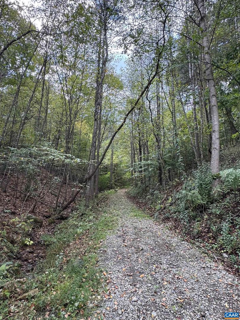 25 FALLING SPRINGS DR, AFTON, Virginia 22920, 3 Bedrooms Bedrooms, ,2 BathroomsBathrooms,Residential,For sale,25 FALLING SPRINGS DR,669780 MLS # 669780