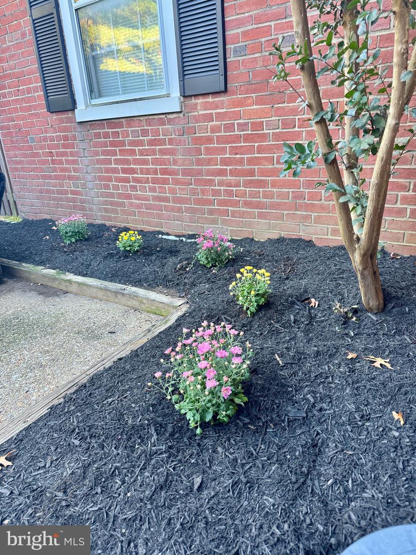 4800 30TH ST S, ARLINGTON, Virginia 22206, 1 Bedroom Bedrooms, ,2 BathroomsBathrooms,Residential,For sale,4800 30TH ST S,VAAR2064760 MLS # VAAR2064760