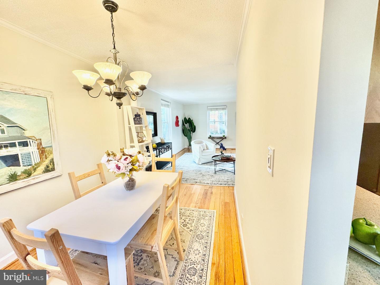 4800 30TH ST S, ARLINGTON, Virginia 22206, 1 Bedroom Bedrooms, ,2 BathroomsBathrooms,Residential,For sale,4800 30TH ST S,VAAR2064760 MLS # VAAR2064760
