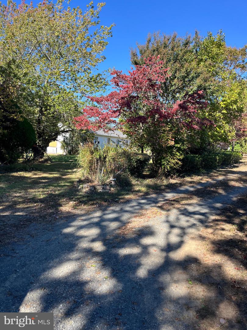 3584 ENSORS SHOP RD, MIDLAND, Virginia 22728, 3 Bedrooms Bedrooms, ,1 BathroomBathrooms,Residential,For sale,3584 ENSORS SHOP RD,VAFQ2019406 MLS # VAFQ2019406