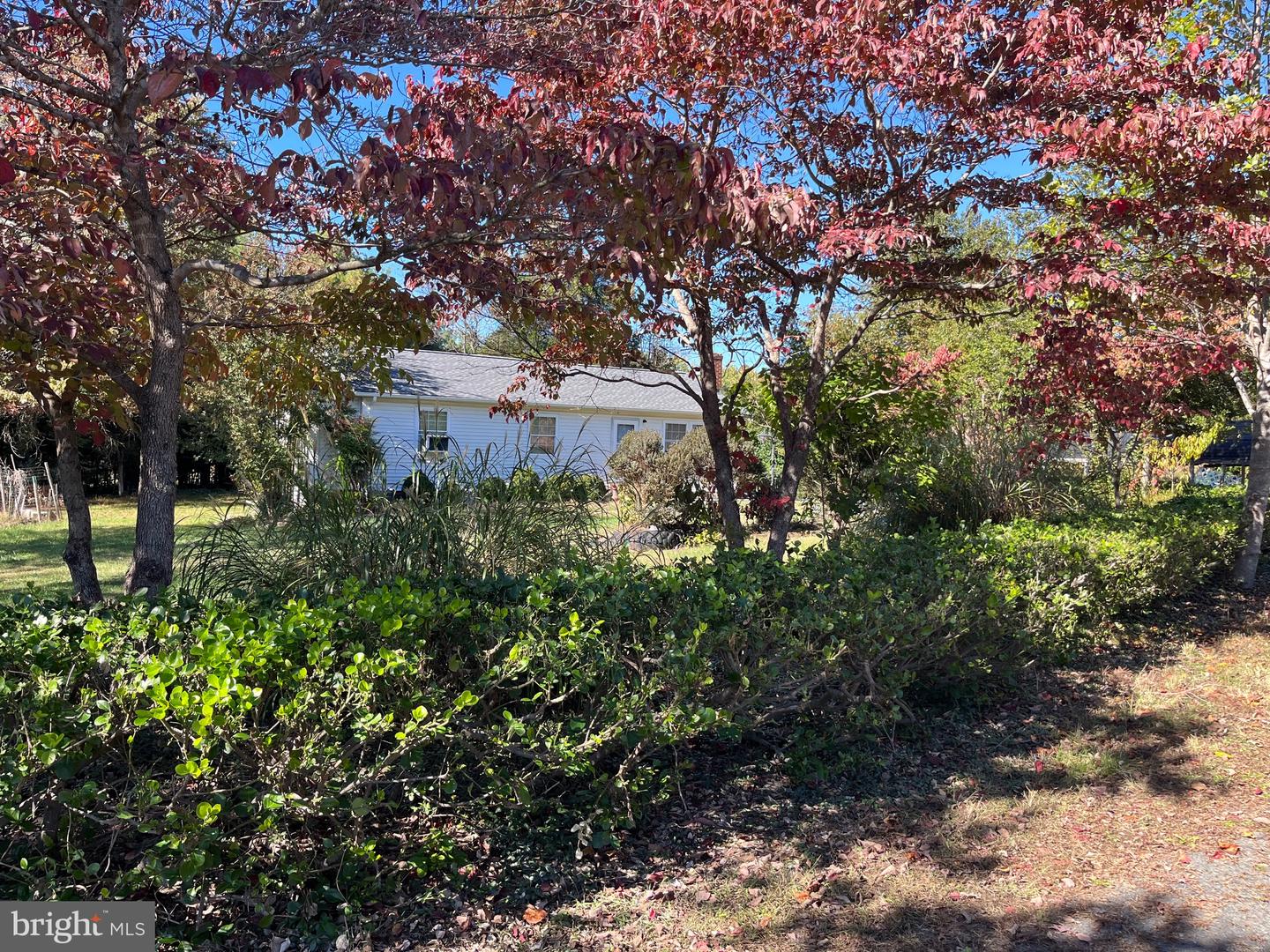 3584 ENSORS SHOP RD, MIDLAND, Virginia 22728, 3 Bedrooms Bedrooms, ,1 BathroomBathrooms,Residential,For sale,3584 ENSORS SHOP RD,VAFQ2019406 MLS # VAFQ2019406