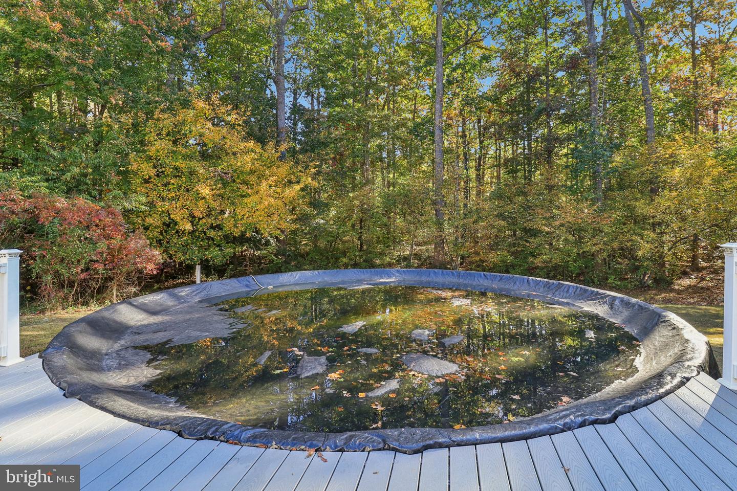 1 MUSTANG CT, SPOTSYLVANIA, Virginia 22551, 3 Bedrooms Bedrooms, ,2 BathroomsBathrooms,Residential,For sale,1 MUSTANG CT,VASP2037024 MLS # VASP2037024 1 MUSTANG CT, SPOTSYLVANIA, Virginia 22551, 3 Bedrooms Bedrooms, ,2 BathroomsBathrooms,Residential,For sale,1 MUSTANG CT,VASP2037024 MLS # VASP2037024