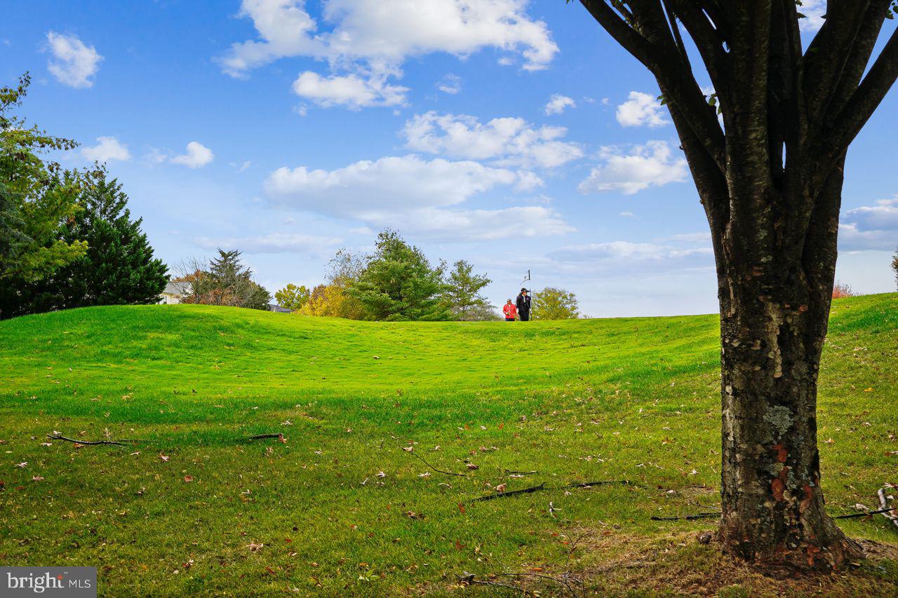 5716 MACINTOSH LOOP, HAYMARKET, Virginia 20169, 4 Bedrooms Bedrooms, ,4 BathroomsBathrooms,Residential,For sale,5716 MACINTOSH LOOP,VAPW2106386 MLS # VAPW2106386