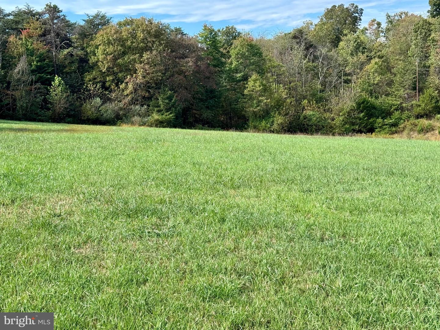220 SNAPPY LN, WINCHESTER, Virginia 22602, 6 Bedrooms Bedrooms, ,4 BathroomsBathrooms,Residential,For sale,220 SNAPPY LN,VAFV2037326 MLS # VAFV2037326