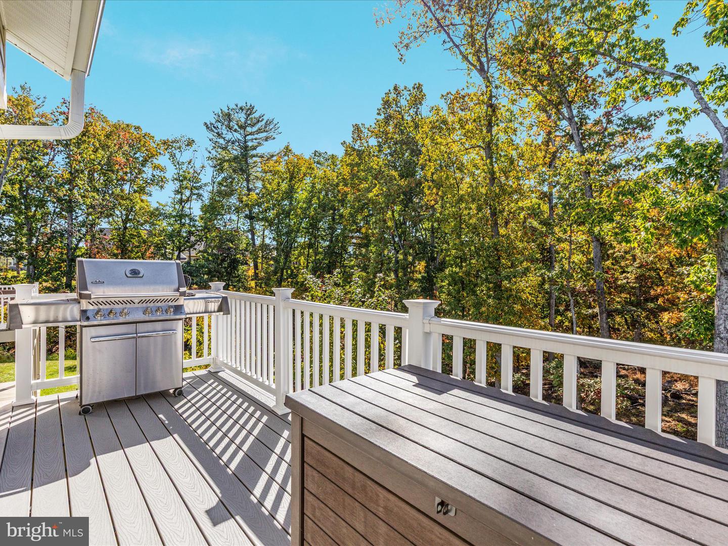 144 COWBIRD ST, LAKE FREDERICK, Virginia 22630, 4 Bedrooms Bedrooms, ,4 BathroomsBathrooms,Residential,For sale,144 COWBIRD ST,VAFV2037546 MLS # VAFV2037546