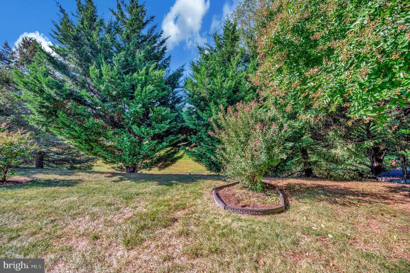 11015 SCOTTWOOD LN, FREDERICKSBURG, Virginia 22407, 2 Bedrooms Bedrooms, ,2 BathroomsBathrooms,Residential,For sale,11015 SCOTTWOOD LN,VASP2037088 MLS # VASP2037088