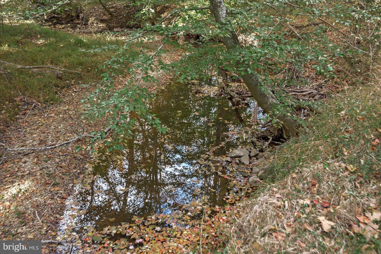 0 HOLLY CORNER ROAD, FALMOUTH, Virginia 22406, ,Land,For sale,0 HOLLY CORNER ROAD,VAST2043660 MLS # VAST2043660 0 HOLLY CORNER ROAD, FALMOUTH, Virginia 22406, ,Land,For sale,0 HOLLY CORNER ROAD,VAST2043660 MLS # VAST2043660