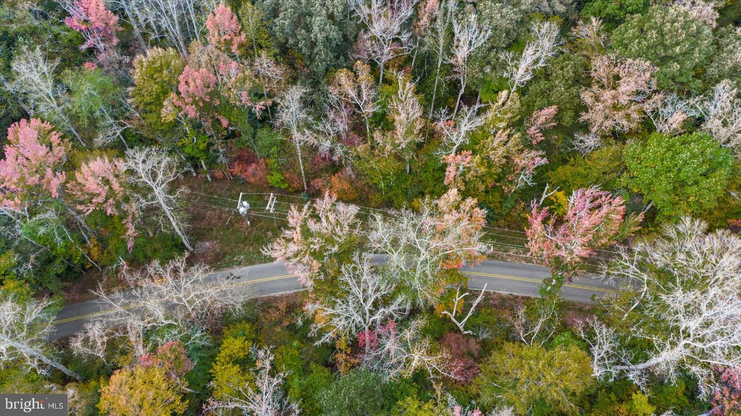 0 HOLLY CORNER ROAD, FALMOUTH, Virginia 22406, ,Land,For sale,0 HOLLY CORNER ROAD,VAST2043660 MLS # VAST2043660 0 HOLLY CORNER ROAD, FALMOUTH, Virginia 22406, ,Land,For sale,0 HOLLY CORNER ROAD,VAST2043660 MLS # VAST2043660