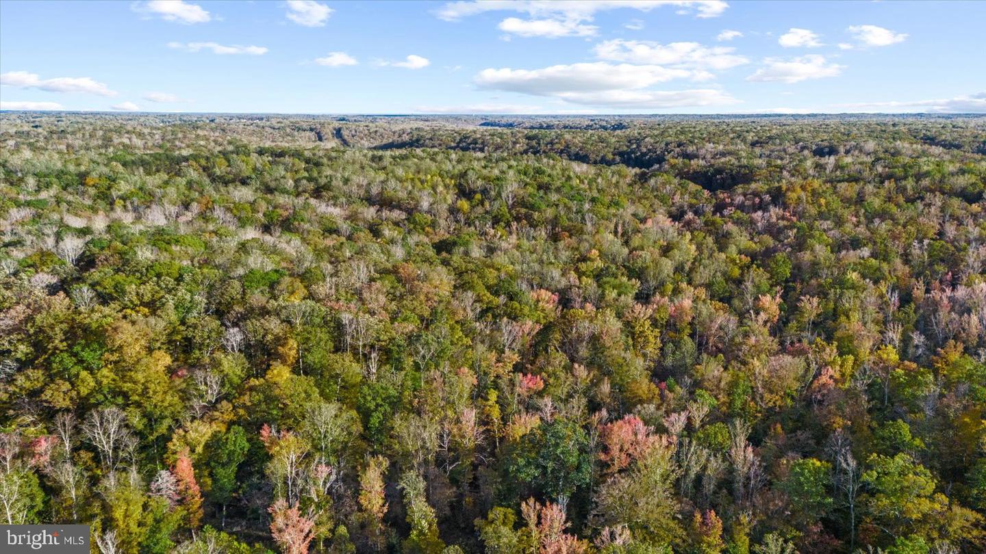 0 HOLLY CORNER ROAD, FALMOUTH, Virginia 22406, ,Land,For sale,0 HOLLY CORNER ROAD,VAST2043660 MLS # VAST2043660 0 HOLLY CORNER ROAD, FALMOUTH, Virginia 22406, ,Land,For sale,0 HOLLY CORNER ROAD,VAST2043660 MLS # VAST2043660
